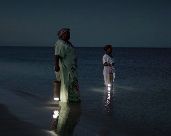 Crean dispositivo que convierte agua salada y orina en energía