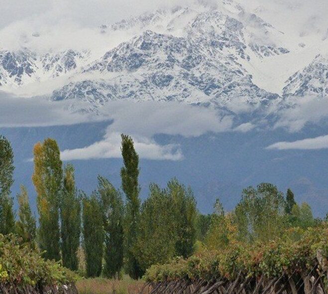 Hallaron dos cuerpos congelados en un cerro de Mendoza: serían andinistas perdidos hace 25 años