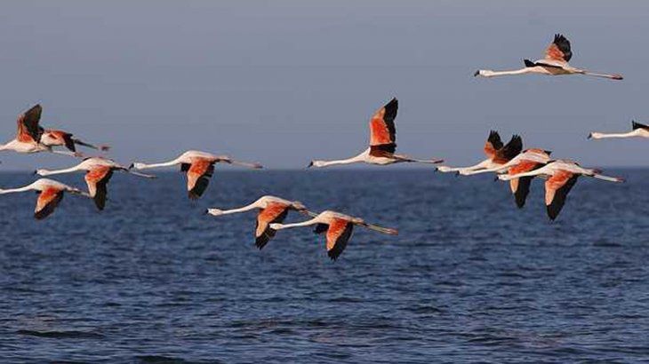Anunciaron la creación de un nuevo parque nacional en Córdoba: será uno de los más grandes del país