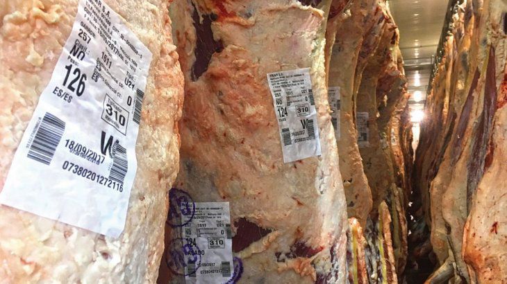 Principio de acuerdo entre el Gobierno y los frigoríficos exportadores