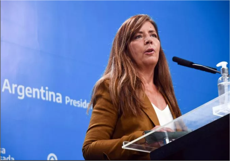 Cerruti le recordó a Villegas que «la filmación ilegal fue realizada por gobiernos de Macri y Vidal»￼