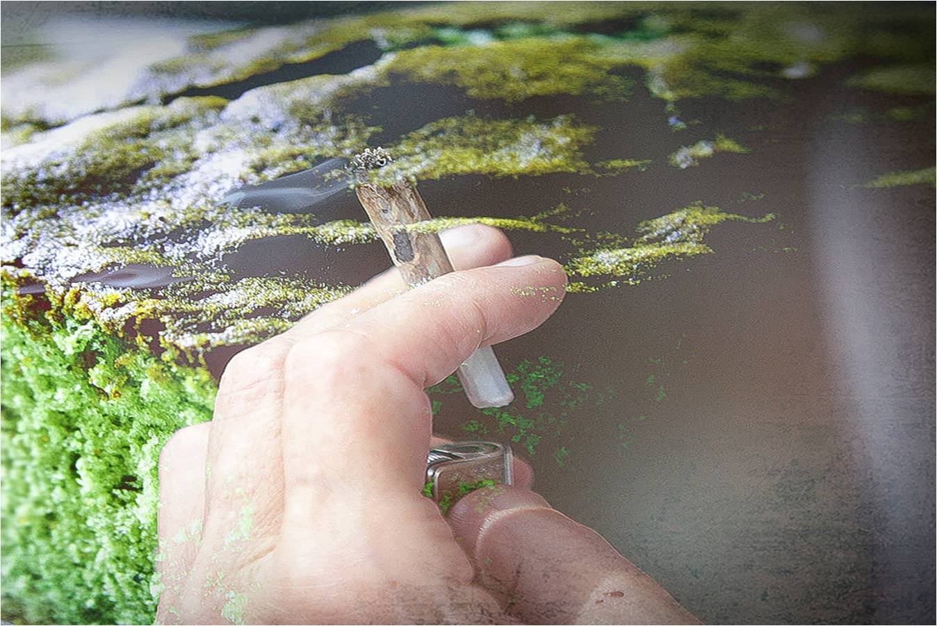 Espíritu navideño: Salteño intentó ingresar MARIHUANA a una comisaría, camuflada en un BUDÍN￼