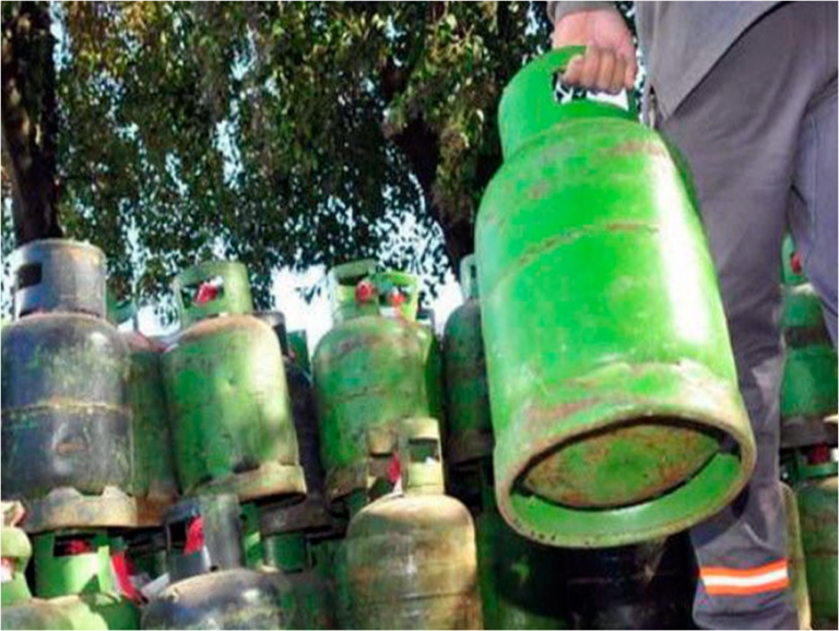 ANSES, Programa Hogar: cuándo se cobra el subsidio en enero 2022