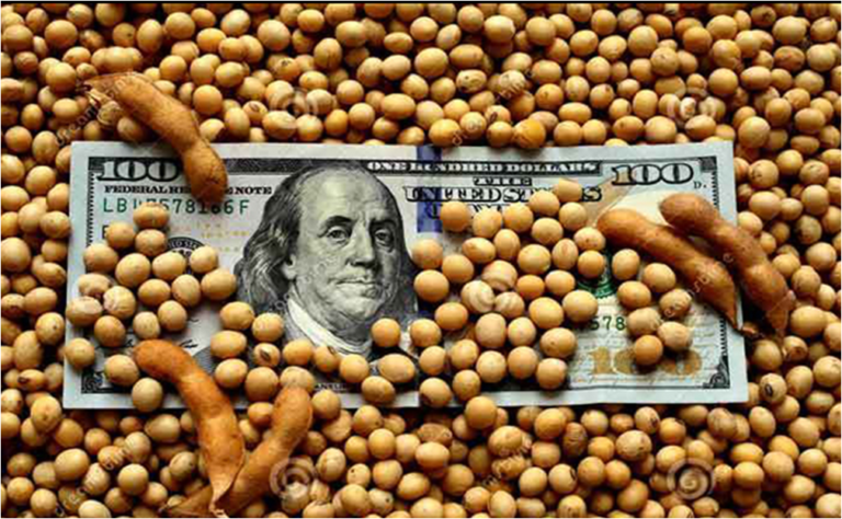 El campo levanta temperatura: quiere «retenciones cero» y amenaza con ir a la Justicia