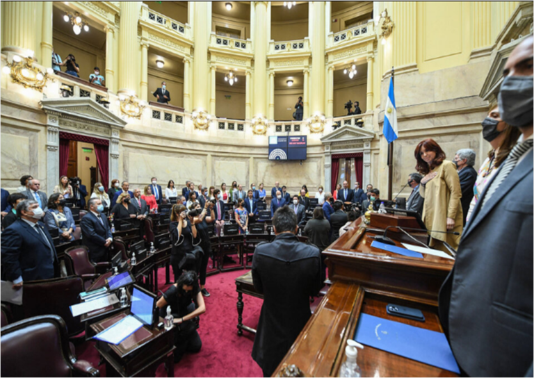 Senado: La definición de autoridades y el debate por el acuerdo con el FMI