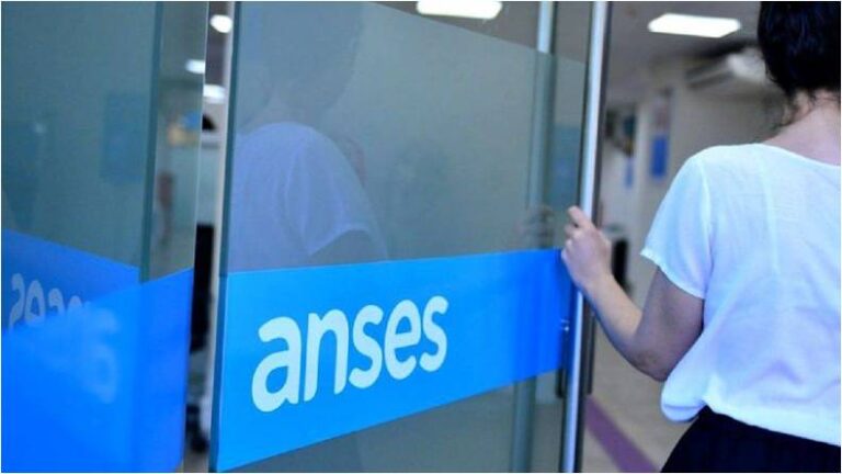 Luz y gas: la Anses lanza turnos presenciales para no perder el subsidio