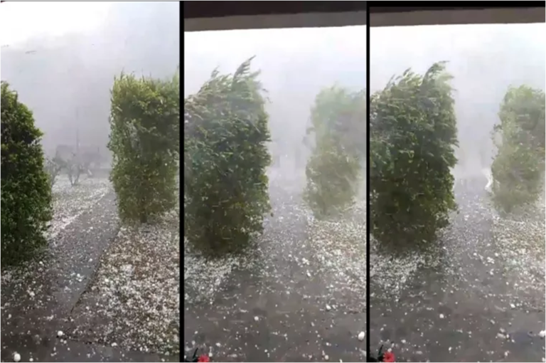 Alerta Amarilla en Salta: una a una, las zonas afectadas por fuertes ráfagas, actividad eléctrica y granizo