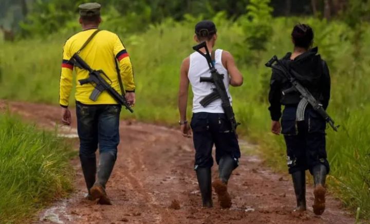 Golpe a las FARC: mataron a 11 guerrilleros en una operación militar