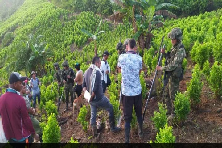 Elecciones en Colombia: Gustavo Petro planea una reorganización de la guerra contra el narcotráfico