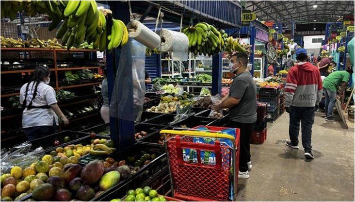 Colombia: la papa, la cebolla y el arroz por las nubes por la guerra en Ucrania￼