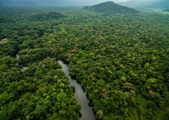 Autoridades brasileñas encuentran la embarcación del periodista y experto indígena asesinados