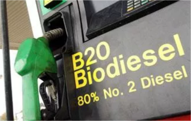 «Biodiésel»: el posible salvavidas que tanto necesita Salta