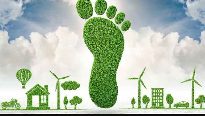 ¿Qué obligación tienen las empresas de publicar sus balances de carbono?