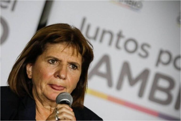 De Aldo Rico a Patricia Bullrich y Espert, las declaraciones destituyentes y golpistas de la oposición 