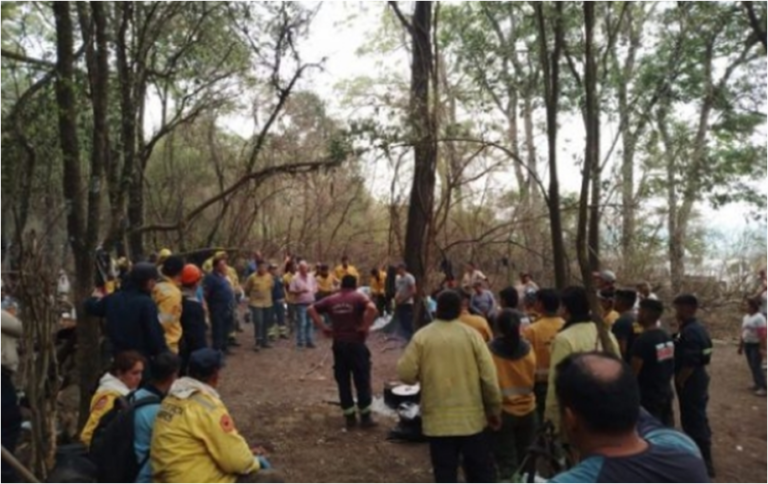 Salta y Jujuy formarán un “Comando Unificado de Emergencia Ígnea» para combatir los incendios