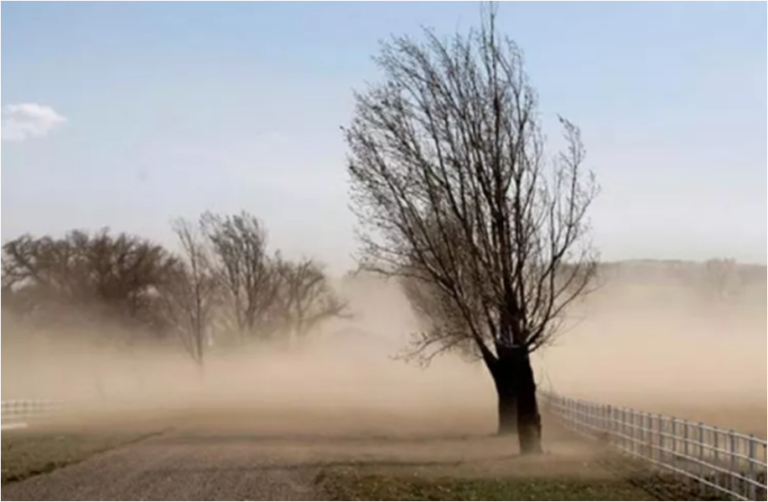 20 familias perdieron su hogar por los fuertes vientos