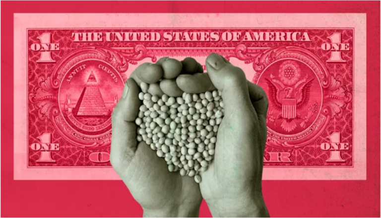 Dólar soja: productores vendieron más de 240.000 toneladas y acumulan US$ 1.485,50 millones