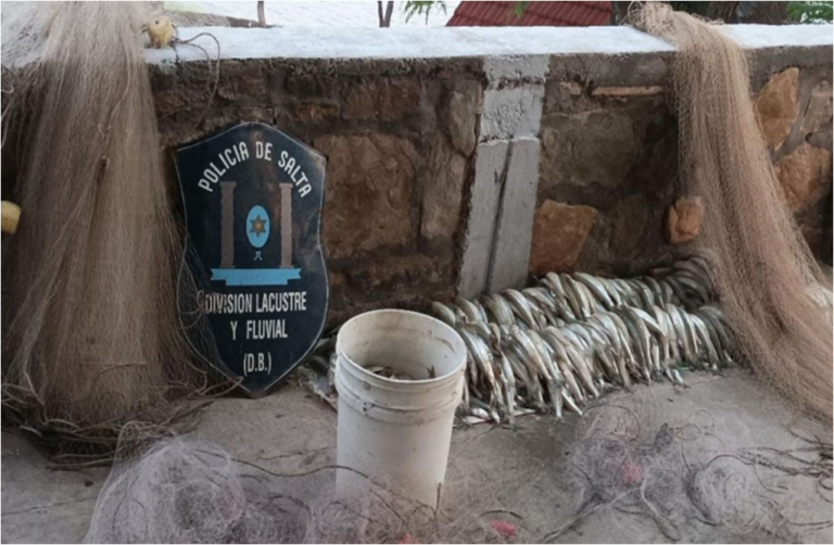 Secuestran una gran cantidad de pejerrey y redes en un domicilio