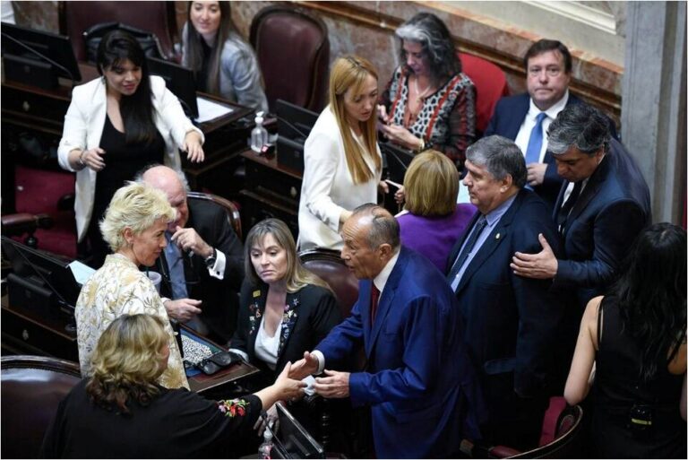 Elecciones 2023: El Senado pone en juego a sus principales espadas