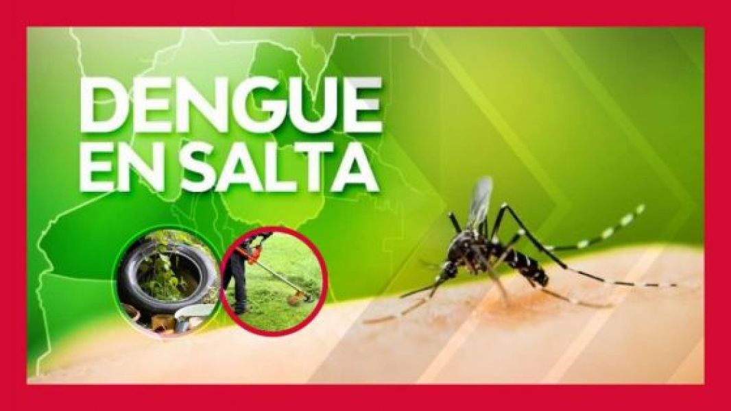La mejor forma de prevenir el dengue es controlar la población del mosquito transmisor
