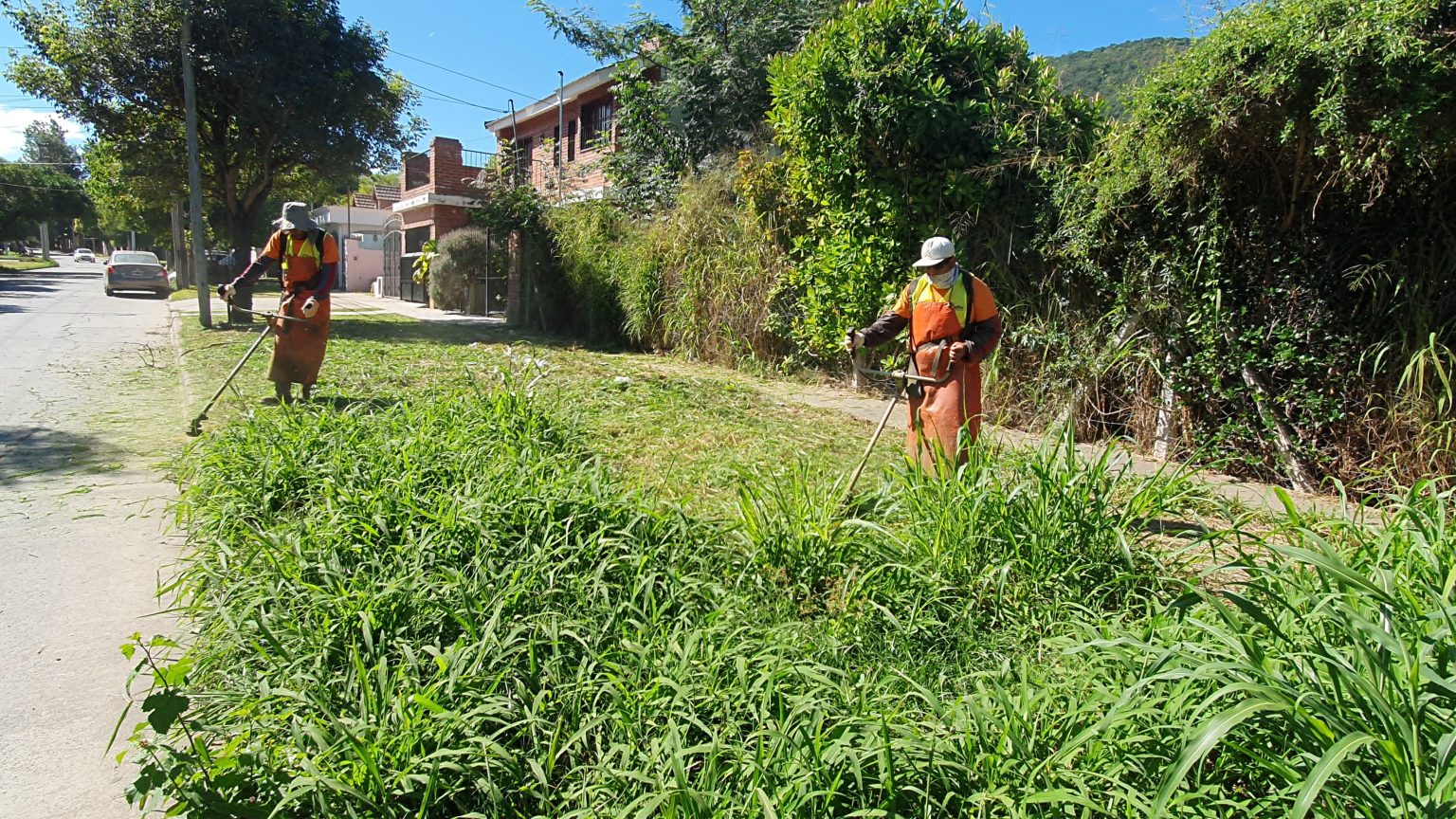 La Municipalidad saneó un nuevo terreno baldío en mal estado