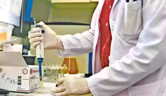 En lo que va del año se registraron 398 casos de salmonelosis en Salta