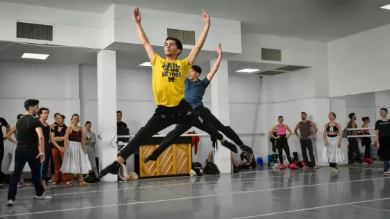 103077-funcion-didactica-de-el-lago-de-los-cisnes-para-escuelas-secundarias