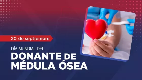 103924-el-sabado-se-conmemora-el-dia-mundial-del-donante-de-medula-sea