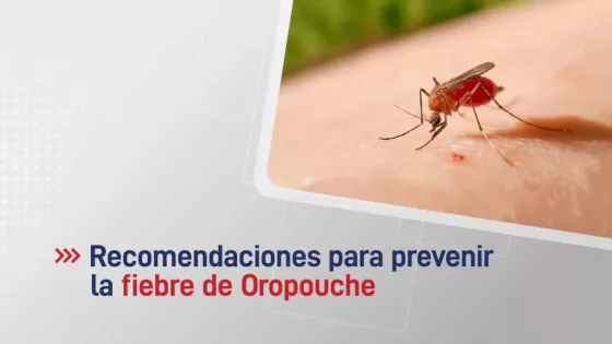 Salud Pública brinda recomendaciones para prevenir la fiebre de Oropouche