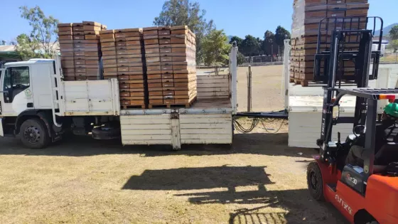 Eficiencia administrativa: el Archivo Central realizó un importante expurgo documental del Ministerio Público en el Parque Industrial