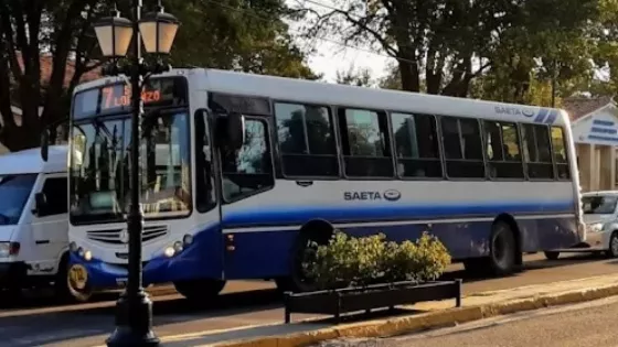 104562-este-domingo-sera-gratuito-el-pasaje-en-colectivos