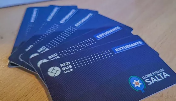 Tarjeta Estudiantil Provincial 2026: inicia el trámite de renovación para estudiantes universitarios del interior