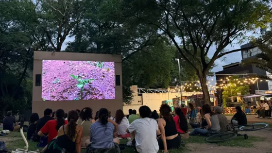 Martes de Verano: El 20 de enero, se proyectará el largometraje Las Hadas del Chaco