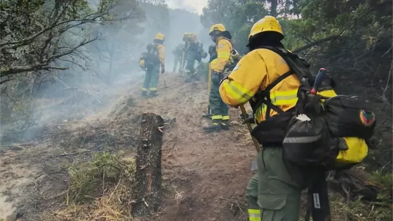 Continúa la cooperación de Salta en el combate de incendios forestales en Los Alerces