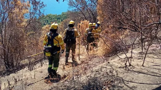 Integrantes de la Brigada Forestal de Salta trabajaron en la contención de los incendios en Chubut