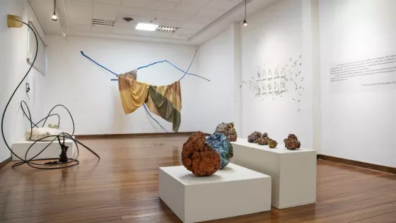 Cierra en Salta la muestra surgida de una residencia artística en Cafayate