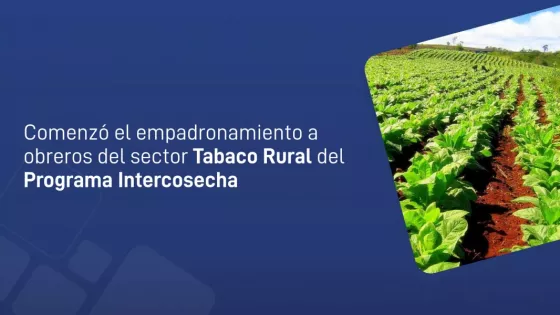 Abren el empadronamiento para el Programa Intercosecha del sector tabaco rural