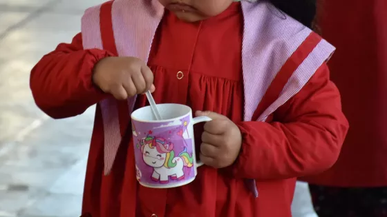 85.000 chicos de la primaria recibirán la Copa de Leche desde el primer día de clases