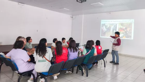 Salta y Tarija coordinan un operativo binacional ante el brote de Chikungunya