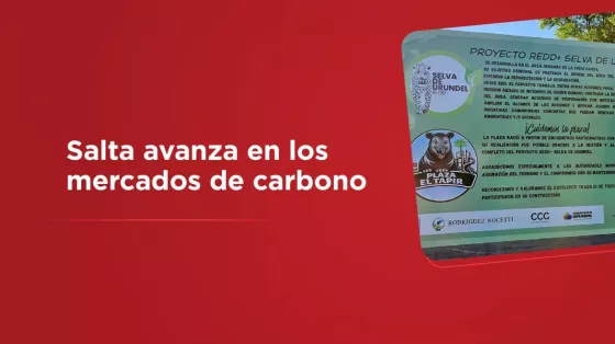 Salta avanza en los mercados de carbono