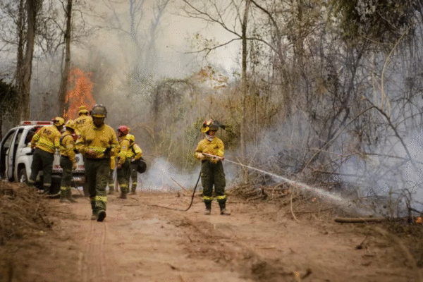 Un incendio afecta la zona rural de Cobos, en el departamento de General Güemes